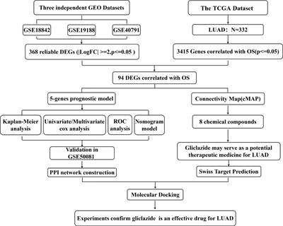 Identification of Prognostic Signature and Gliclazide as Candidate Drugs in Lung Adenocarcinoma